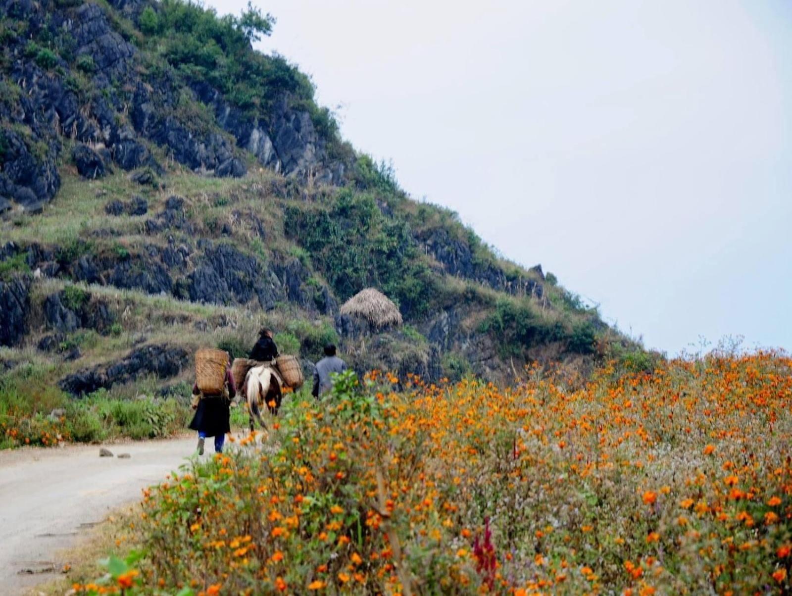 Hang Thuong Hostel - Motorbikes And Tour Ha Giang Eksteriør bilde